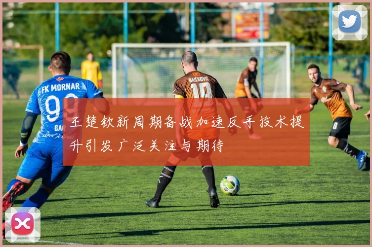 王楚钦新周期备战加速反手技术提升引发广泛关注与期待